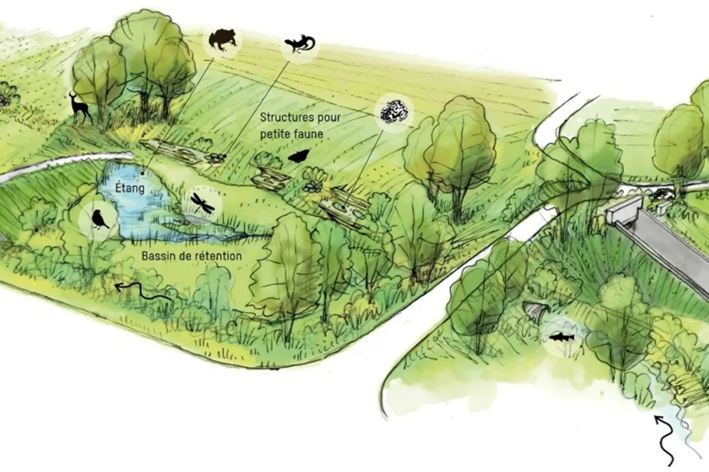 Situationsplan Rückhaltebecken