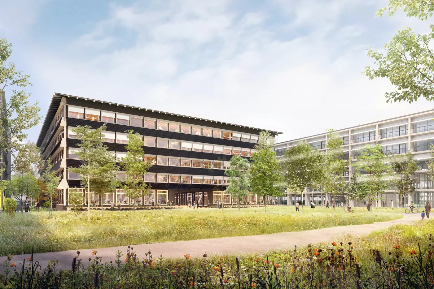 Visualisierung Hortus, BaseLink Areal (c) Herzog & de Meuron Architekten AG