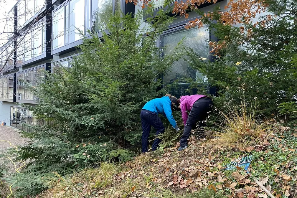 Ökologische Aufwertung im städtischen Umfeld
