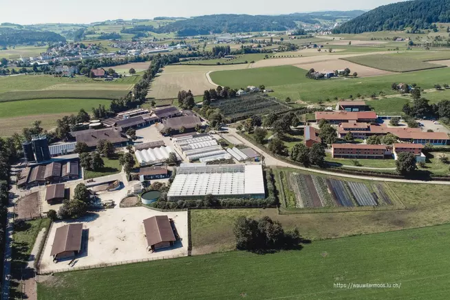 Justizvollzugsanstalt Wauwilermoos