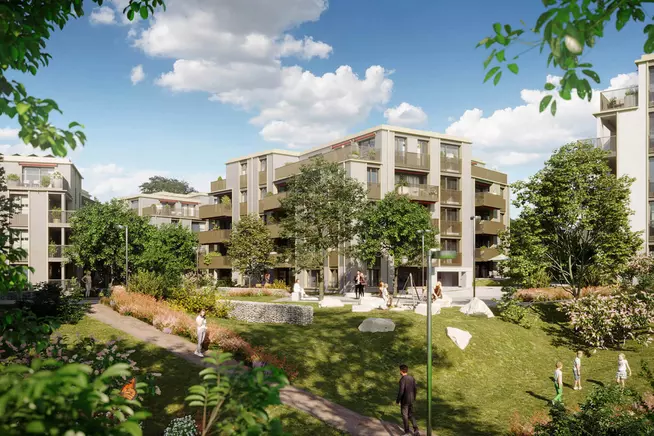 Neubau 5 Mehrfamilienhäuser Im Steinacher, Zürich