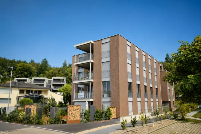 MFH Grundmühle WIllisau 1
