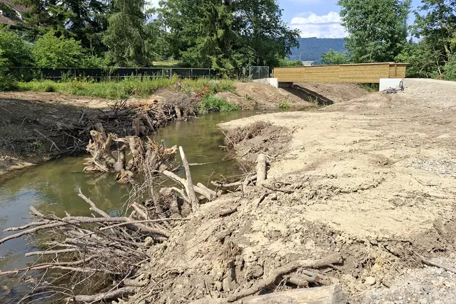 Trockenes Flussbett mit Ästen, Sand und einem Brückenüberbau im Hintergrund.